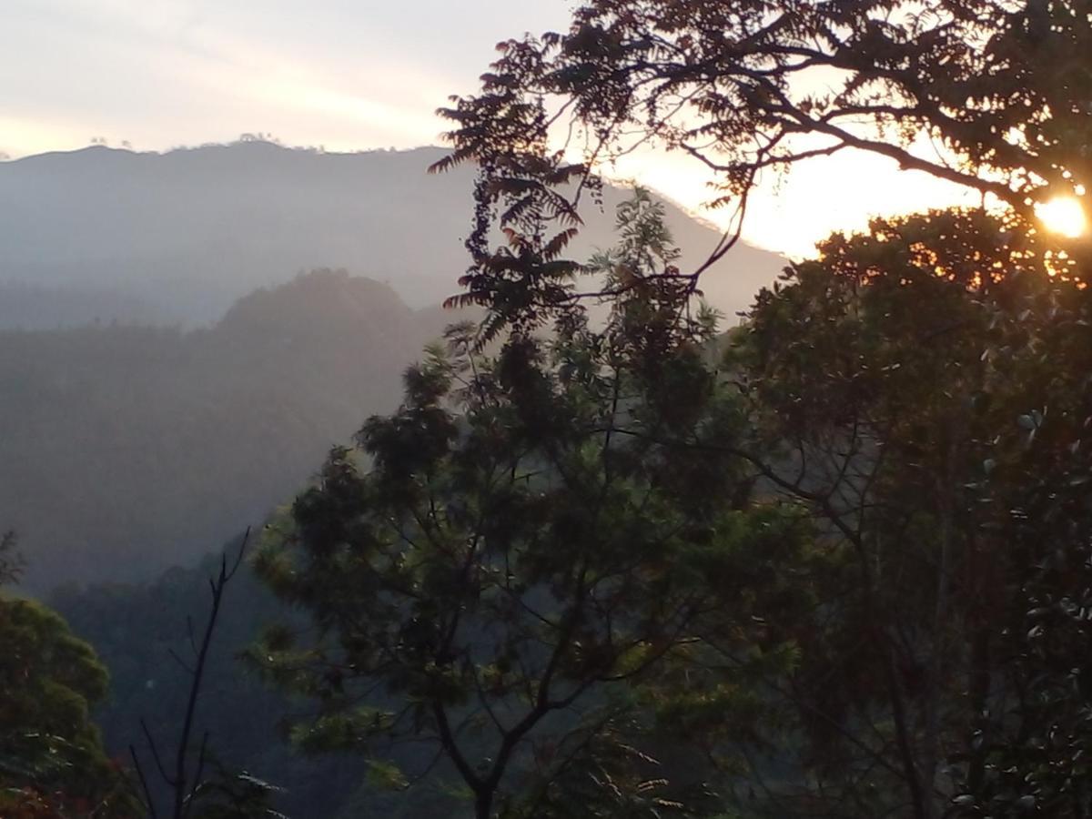 Racy Nature Cottage เอลลา ภายนอก รูปภาพ