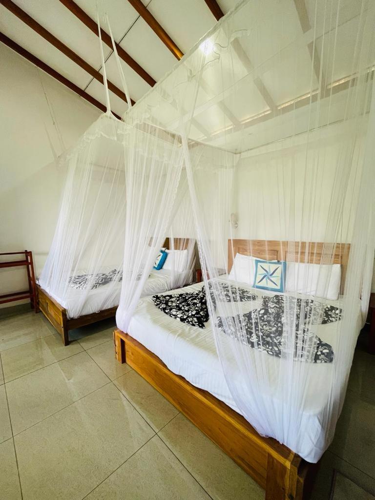 Racy Nature Cottage เอลลา ภายนอก รูปภาพ