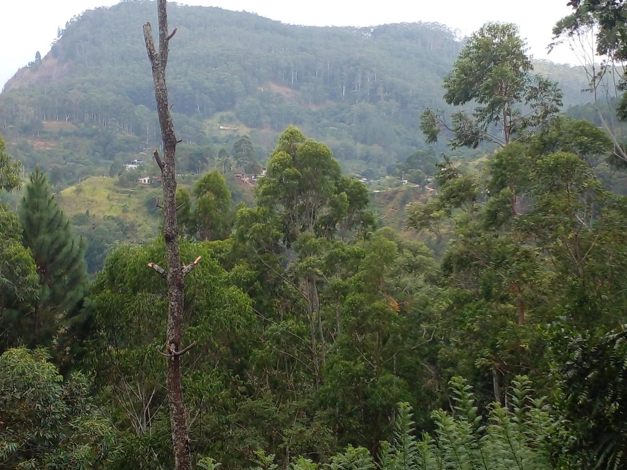 Racy Nature Cottage เอลลา ภายนอก รูปภาพ