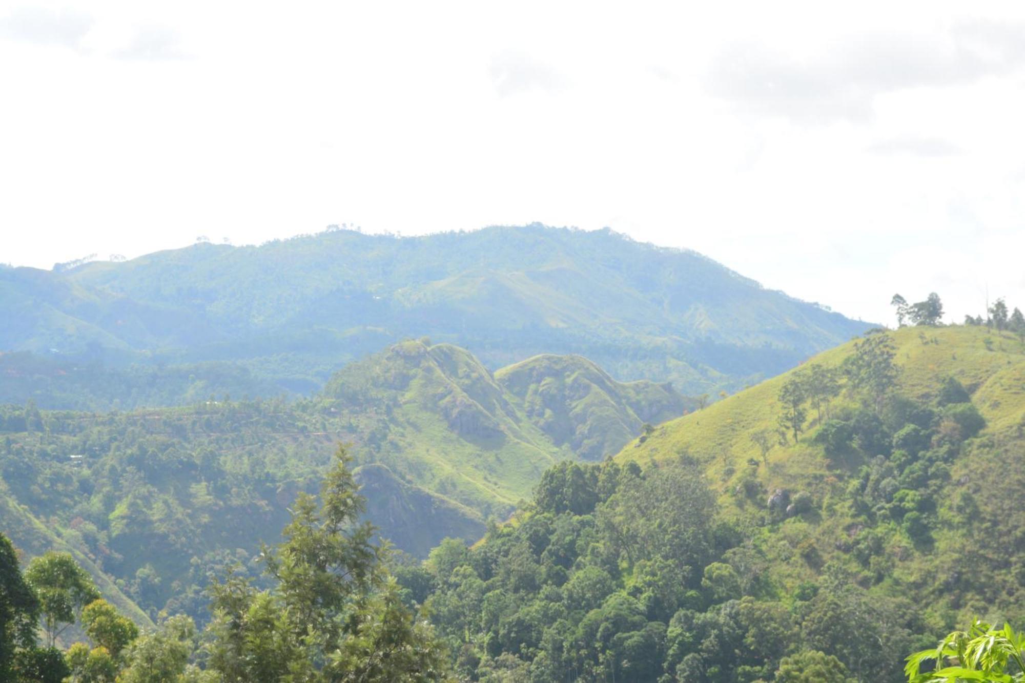 Racy Nature Cottage เอลลา ภายนอก รูปภาพ