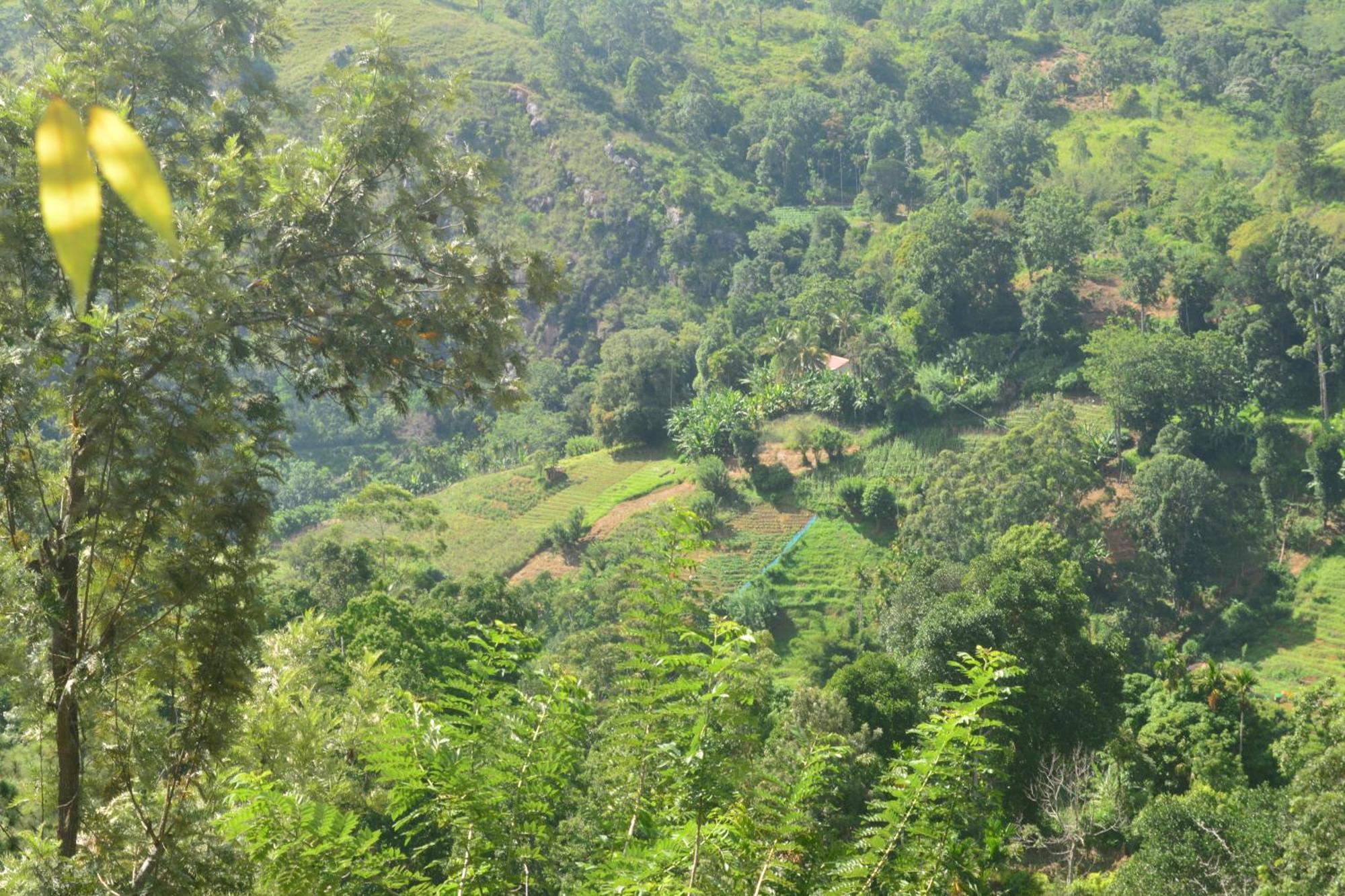 Racy Nature Cottage เอลลา ภายนอก รูปภาพ