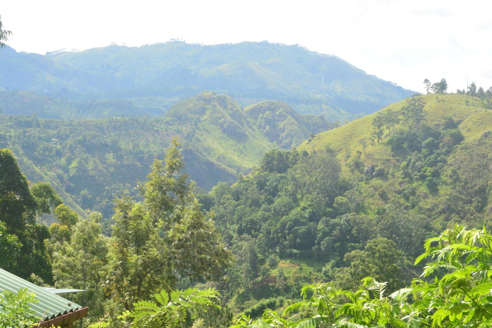 Racy Nature Cottage เอลลา ภายนอก รูปภาพ