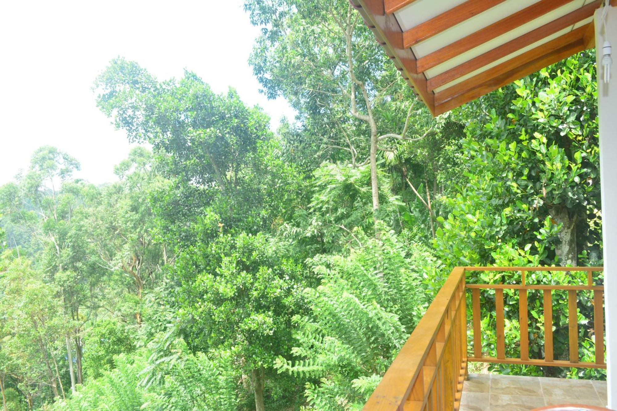 Racy Nature Cottage เอลลา ภายนอก รูปภาพ