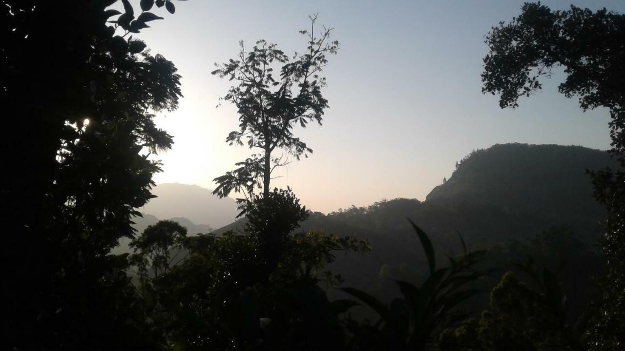 Racy Nature Cottage เอลลา ภายนอก รูปภาพ
