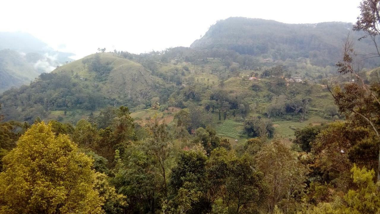 Racy Nature Cottage เอลลา ภายนอก รูปภาพ