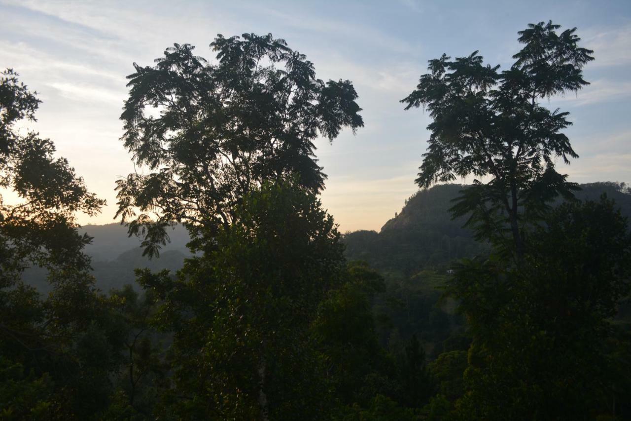 Racy Nature Cottage เอลลา ภายนอก รูปภาพ