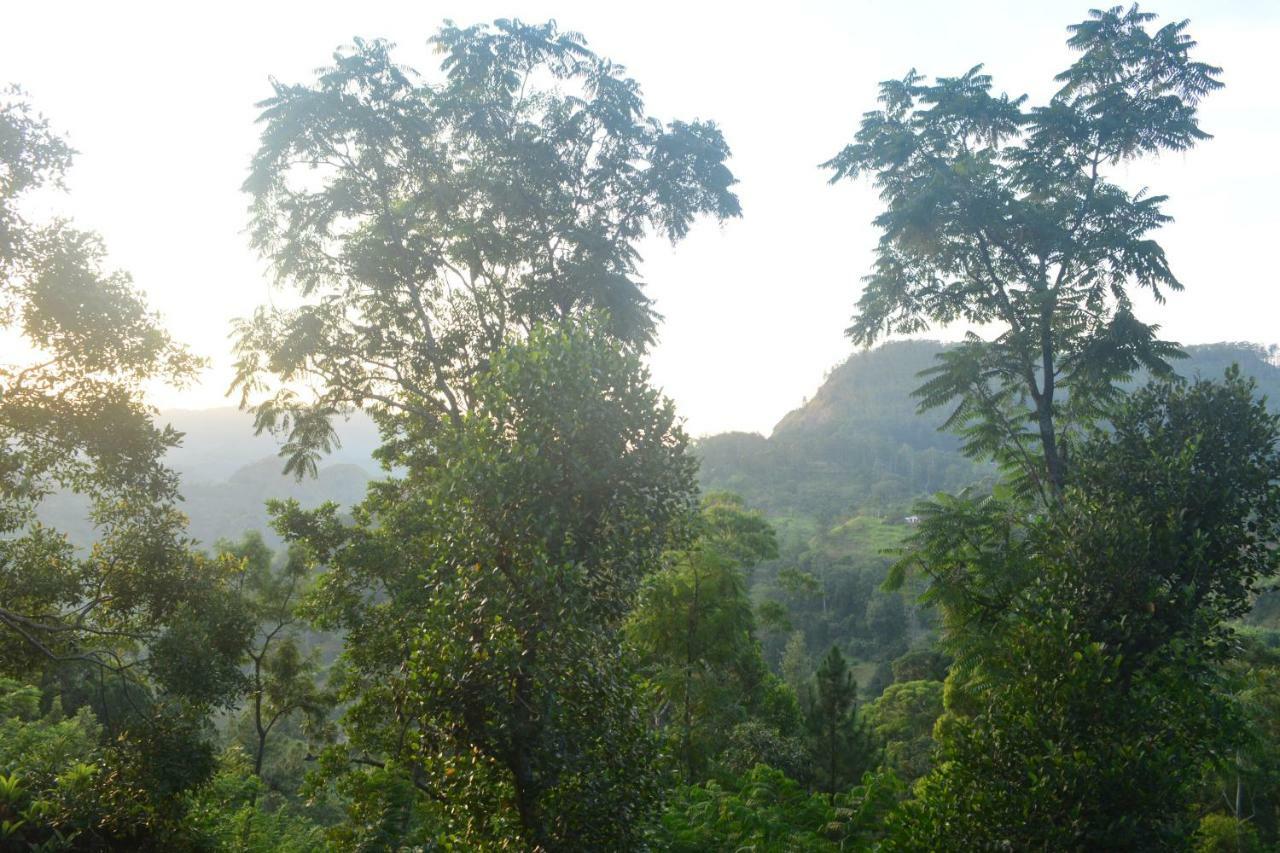 Racy Nature Cottage เอลลา ภายนอก รูปภาพ