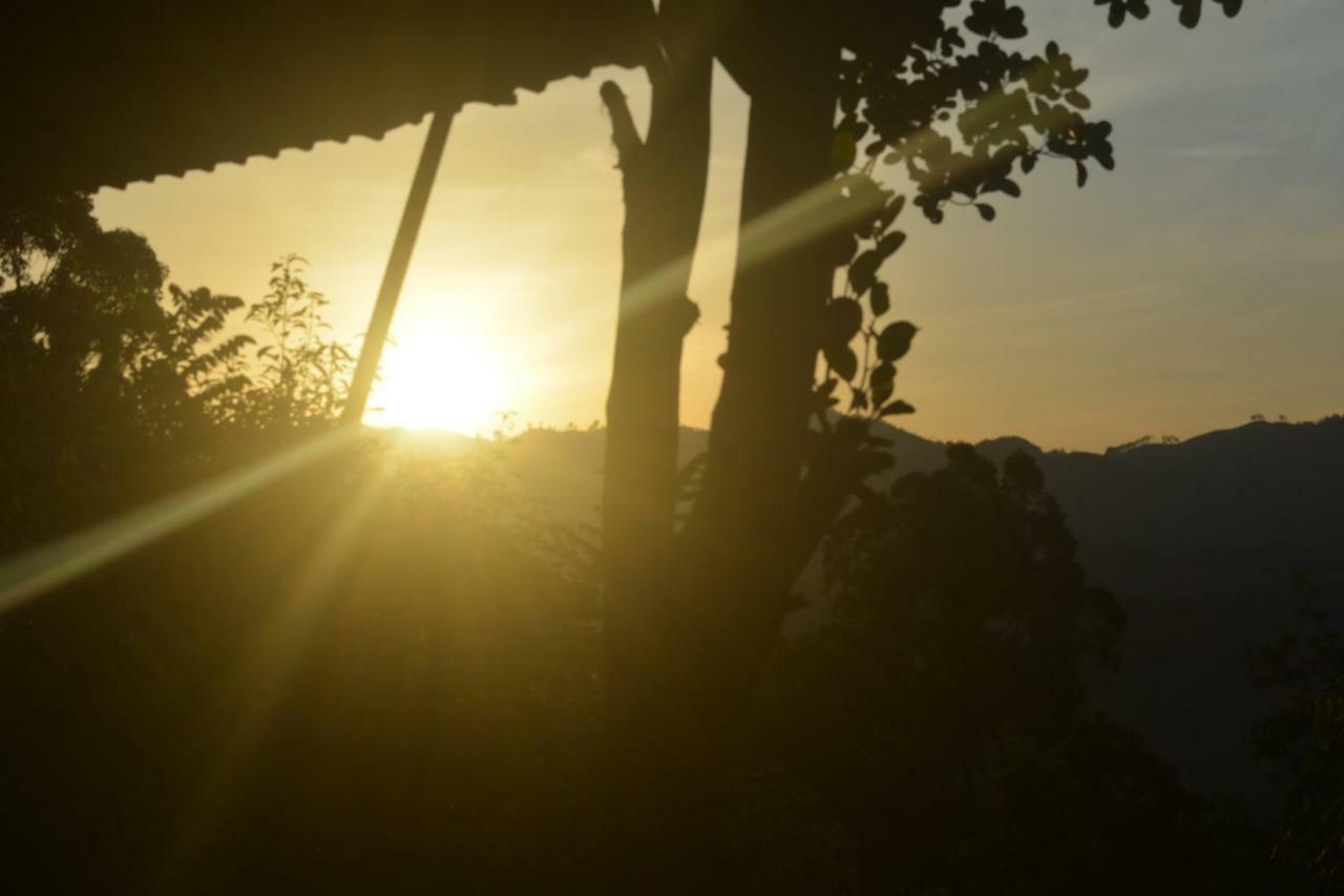 Racy Nature Cottage เอลลา ภายนอก รูปภาพ